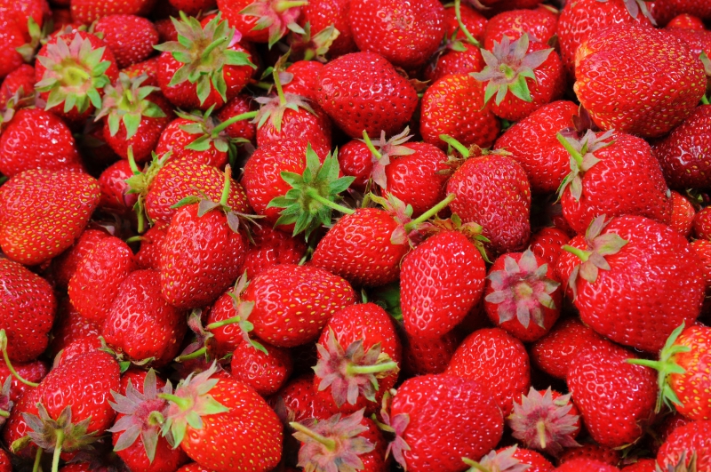 primeur-LE BROC-min_strawberries-528791